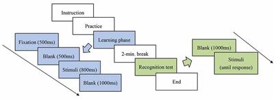 The Neural Signature of Statistical Learning of Orthography